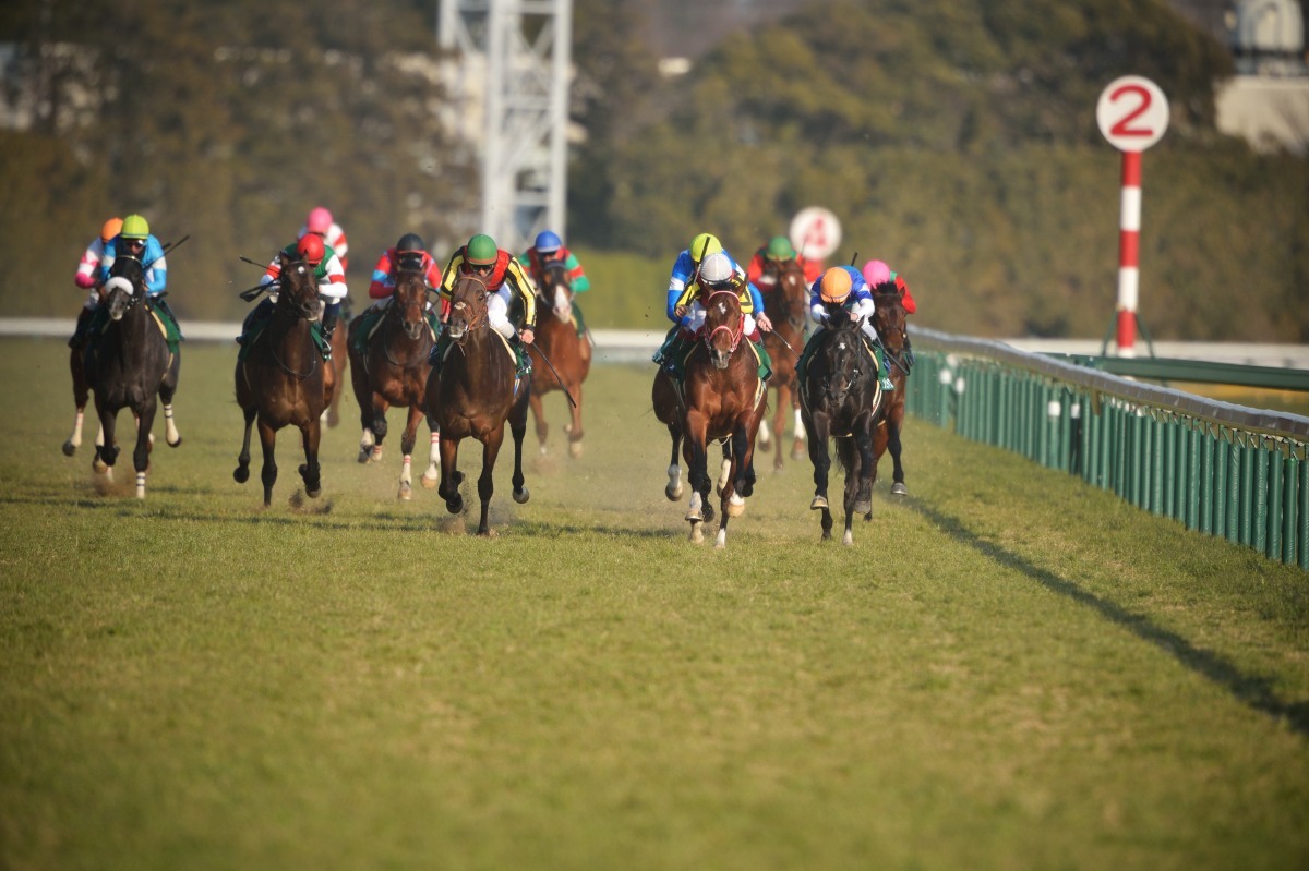 1億円馬 対 8000万馬 ぐりーんch 2nd