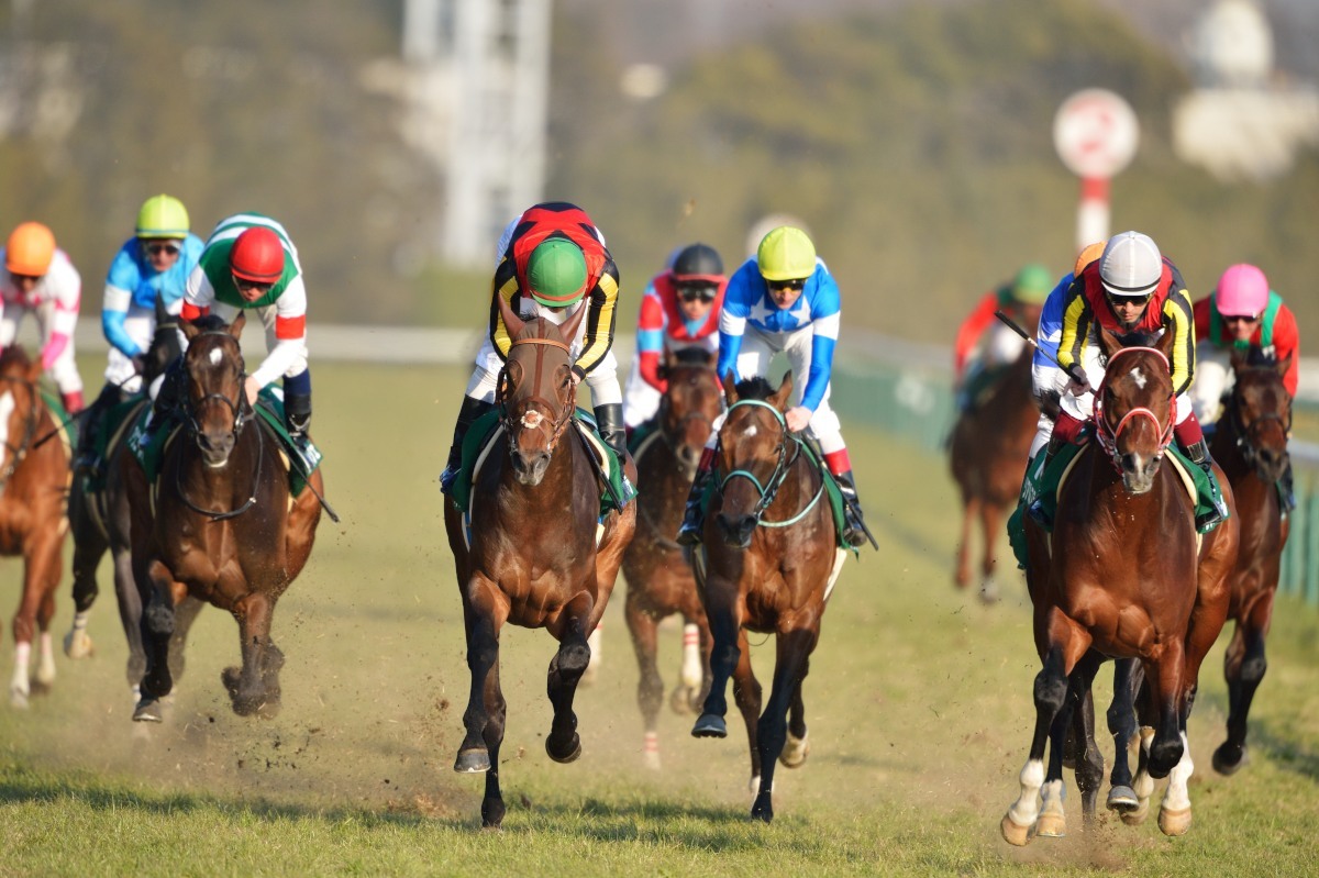 1億円馬 対 8000万馬 ぐりーんch 2nd