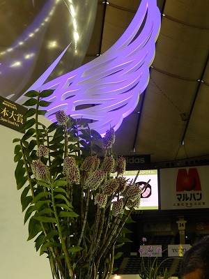 a0185783_1641954.jpg