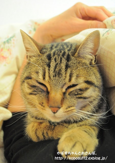 耐える愛_a0126590_13122650.jpg