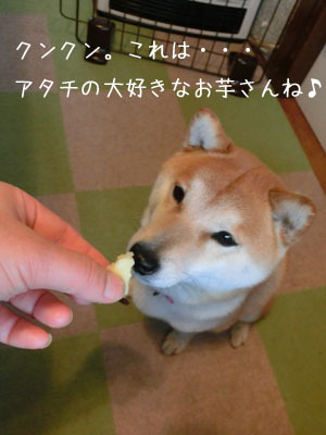 確定申告と焼き芋・・・((+_+))_f0062790_23155794.jpg