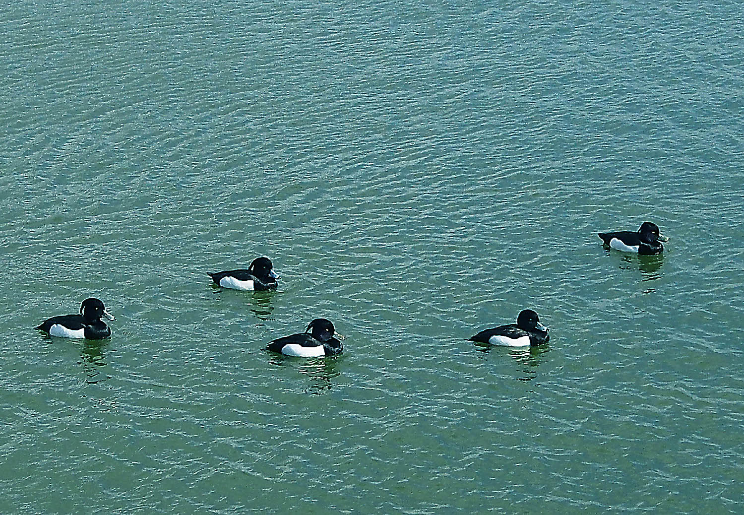 e0254493_114248.jpg