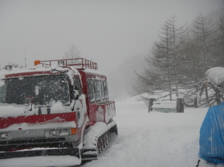 雪降りの朝_e0120896_07071265.jpg
