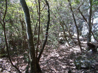 f0308898_93746.jpg