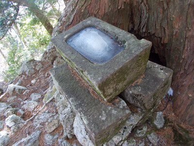 f0308898_99076.jpg