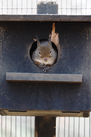 動物園写真のススメ_b0016600_22285344.jpg