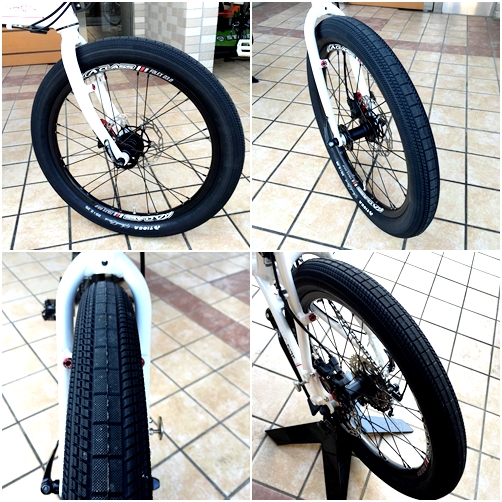 DAHON:2015年モデルHorizeディスクブレーキ＆10SPEED カスタム