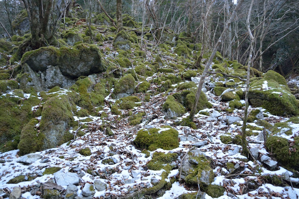 b0277008_85423.jpg