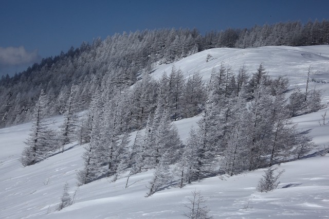 e0242721_8129.jpg
