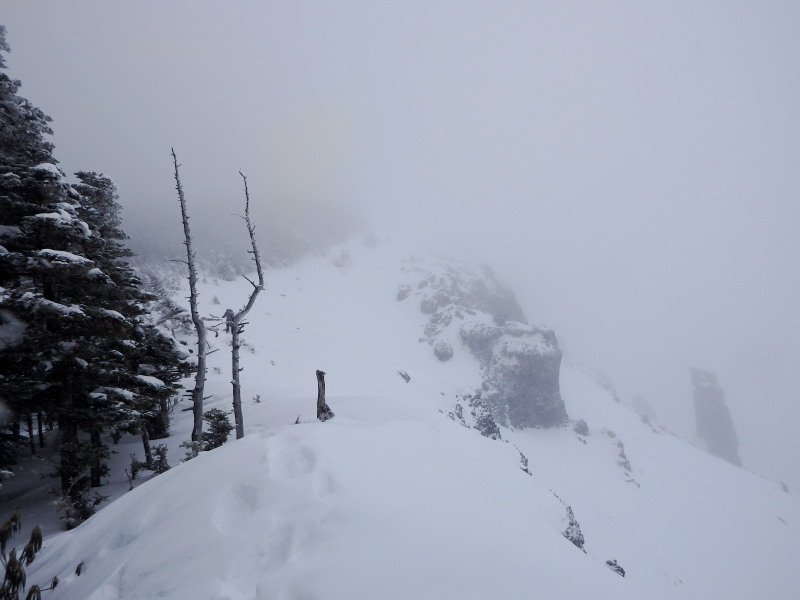 f0330321_219329.jpg