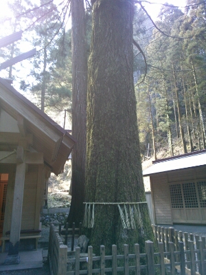 秋元神社と御神木_e0129231_16382079.jpg