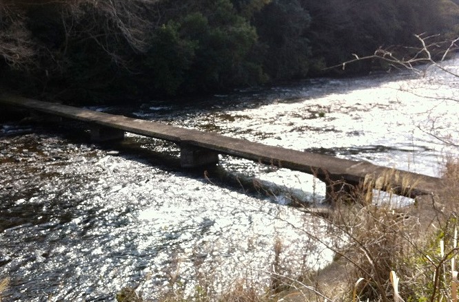 e0138939_1856919.jpg
