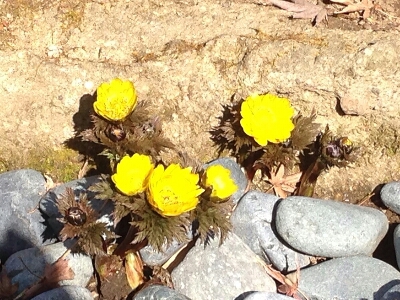 c0348441_22152795.jpg