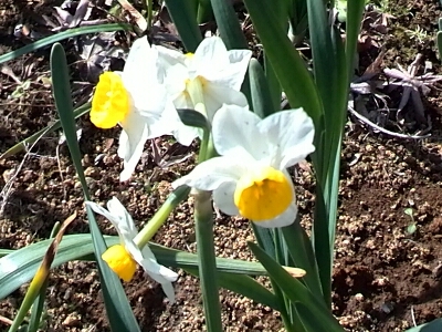 c0348441_2218197.jpg