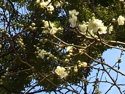 c0348441_2242515.jpg