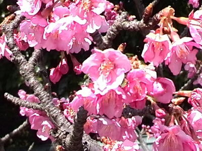 c0348441_2291272.jpg