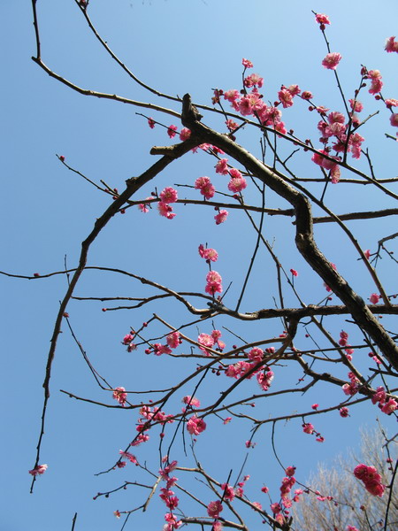 a0198542_23102875.jpg