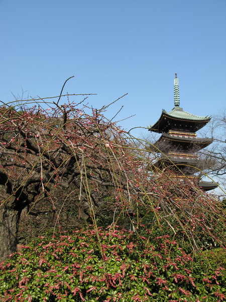 a0198542_23111169.jpg