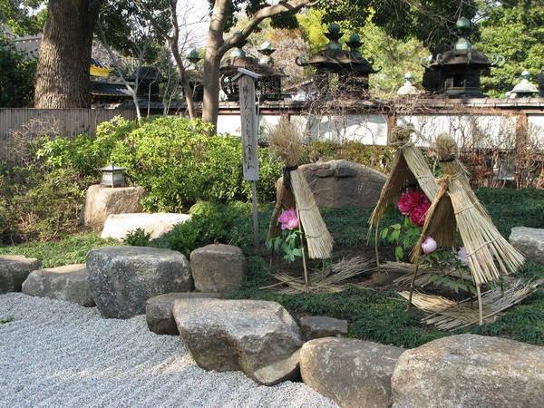 a0198542_2312934.jpg