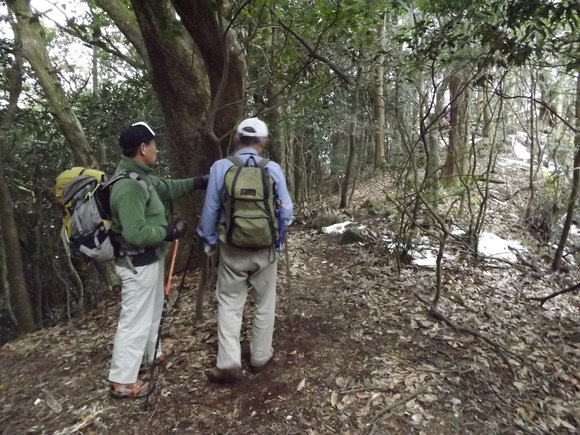 だごしゃん道から頭巾山？～三郡山～前砥石～砥石山～鬼岩_a0206345_1046487.jpg