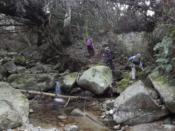 だごしゃん道から頭巾山？～三郡山～前砥石～砥石山～鬼岩_a0206345_94654.jpg