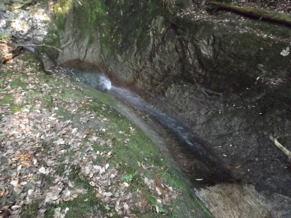 a0206345_97569.jpg