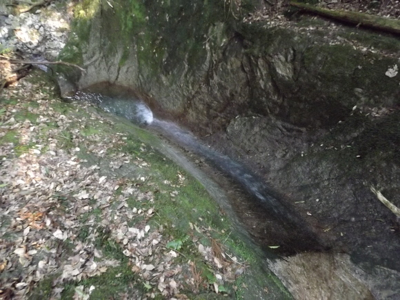 だごしゃん道から頭巾山？～三郡山～前砥石～砥石山～鬼岩_a0206345_97569.jpg