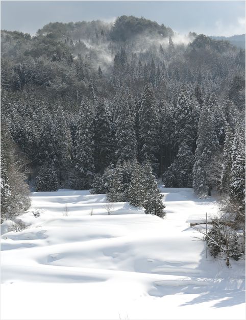 雪景色が見たくて・・・・・②_a0256349_16191010.jpg