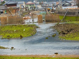 萌黄色に染まる河口_e0175370_17433122.jpg