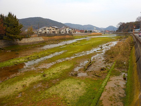 萌黄色に染まる河口_e0175370_17442214.jpg