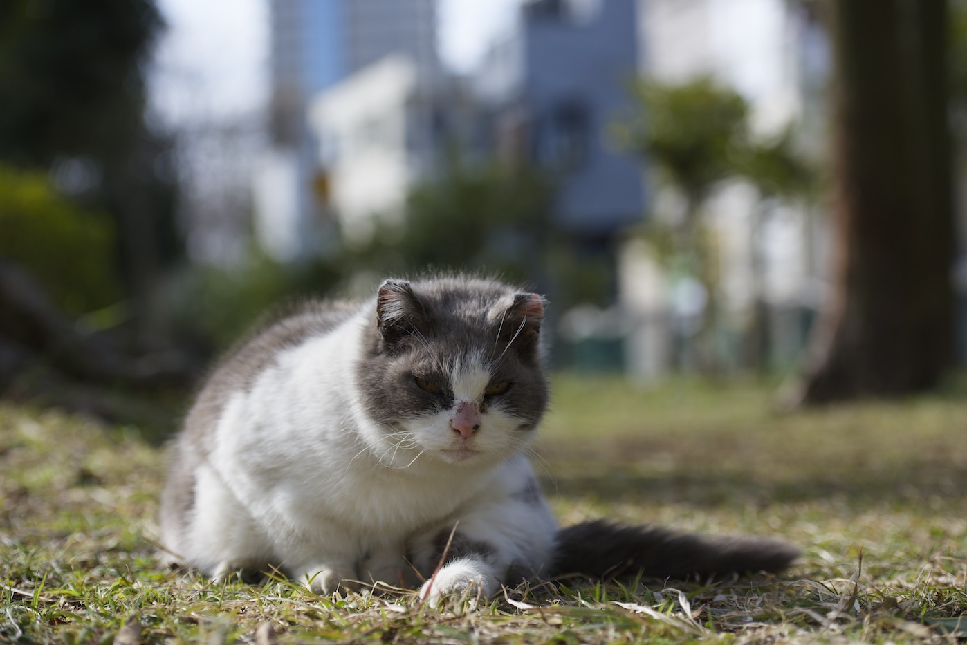 気持ちの良い　朝〜〜_f0011273_21305759.jpg