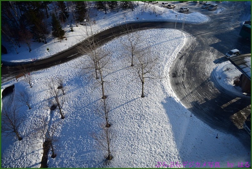 冬の北海道旅行　（５）　カーリング・札幌雪まつりスキージャンプ台_b0104774_23412444.jpg