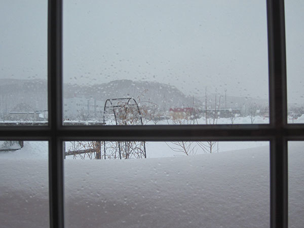 f0101174_08155172.jpg