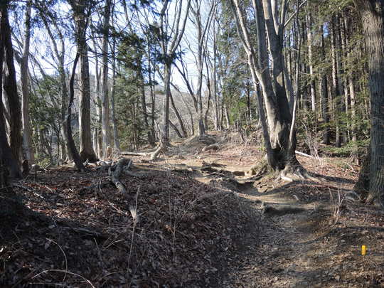 e0232277_11381155.jpg