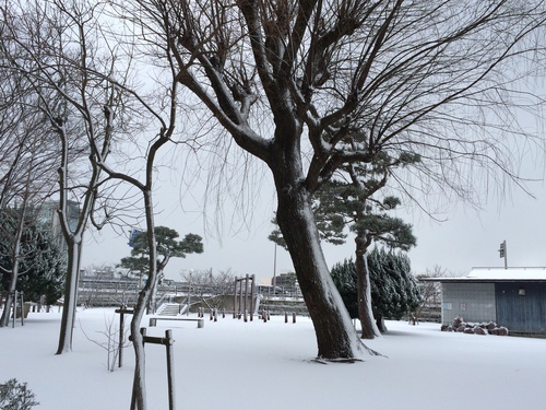 日本学術会議の提言　核のゴミ対策〜今、考えるべき希少な時間です_b0174284_2123777.jpg