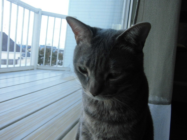 c0348792_20241330.jpg
