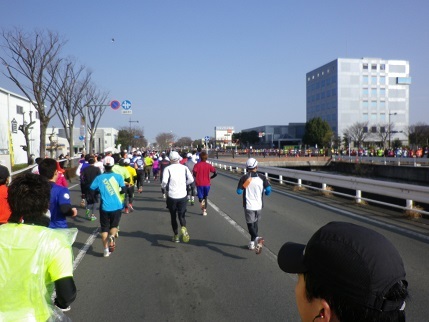 2015 熊本城マラソン_e0048994_16054943.jpg