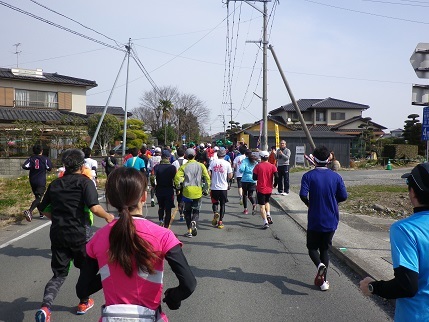 2015 熊本城マラソン_e0048994_16580982.jpg