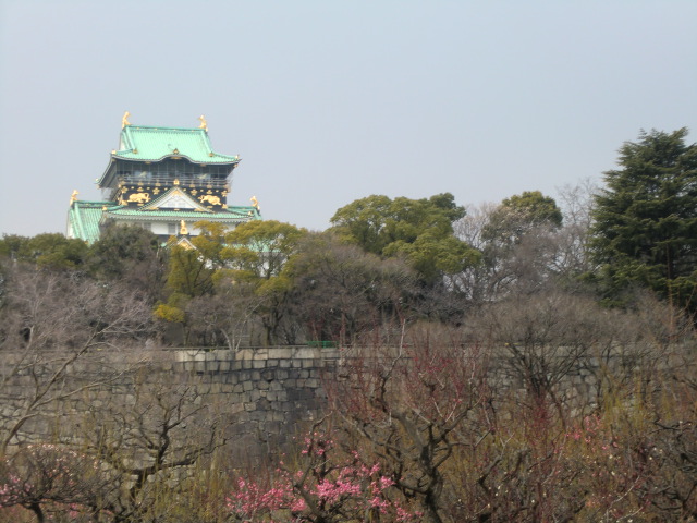 大阪城公園の梅林は三分咲きでした_b0044296_23323955.jpg