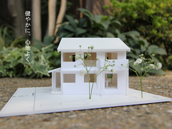 杉フロアに・・・ 自然塗料キヌカ_d0080906_1153930.jpg