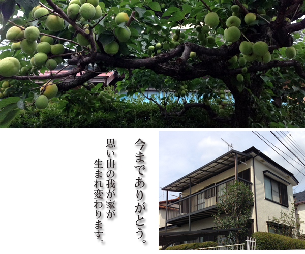 杉フロアに・・・ 自然塗料キヌカ_d0080906_11554749.jpg