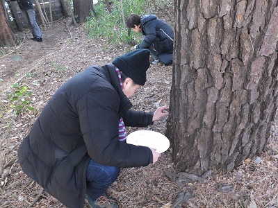 すみれば自然講座の報告_b0049307_11533114.jpg