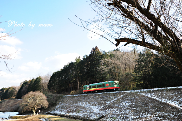 真岡鉄道 雪と重連 と すみれちゃん♪♪_e0160417_18132612.jpg