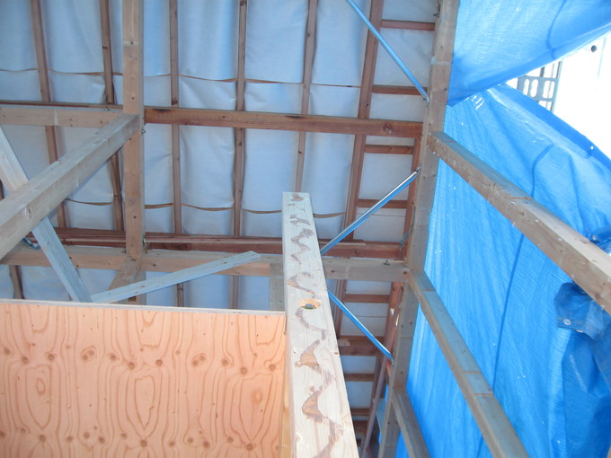b0298824_1356519.jpg