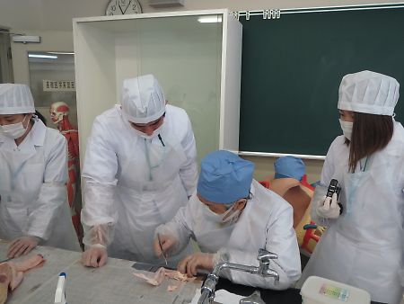 1年生が初めての解剖実習を行いました 郡山健康科学専門学校ブログ