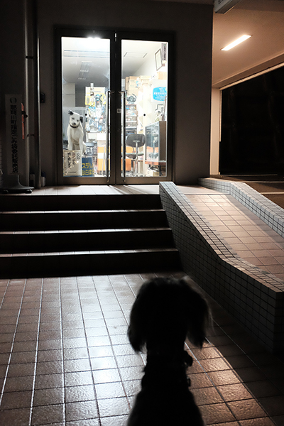 ニッパー_c0275332_12521215.jpg