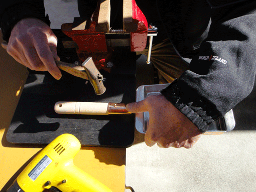 a0056140_1055427.gif