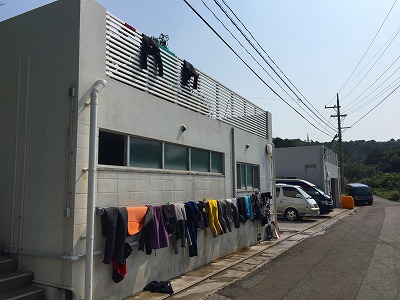 2月17日 半袖で過ごせます_b0158746_16224173.jpg