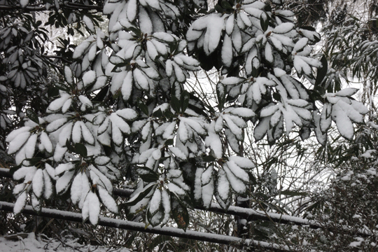 c0093046_8405691.gif