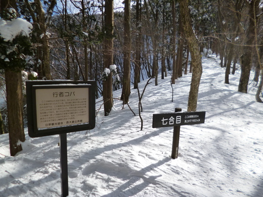 登山日和の雪の綿向山_d0231858_650932.jpg